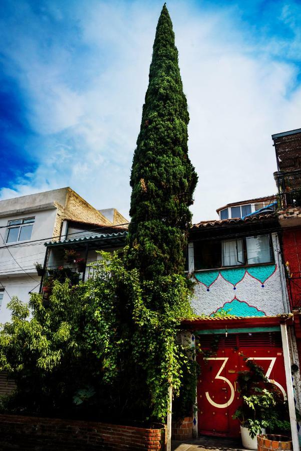 Hostel Mexico Df Airport Exterior foto